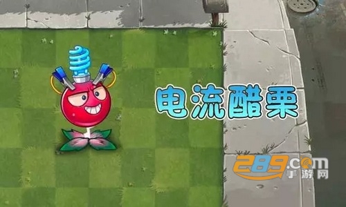 植物大战僵尸2破解版全5阶植物 植物大战僵尸2破解版全5阶植物