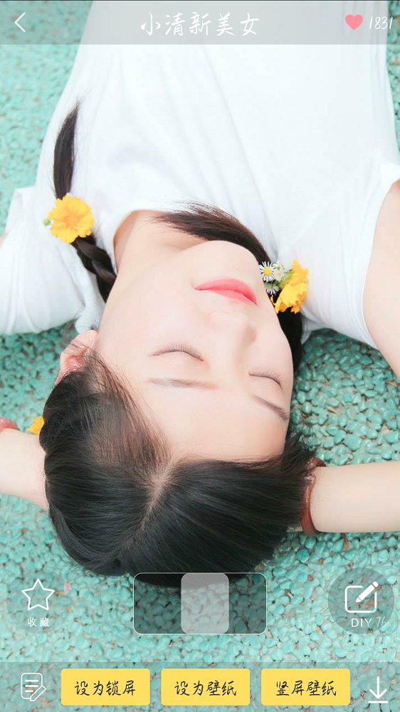壁纸主题精灵