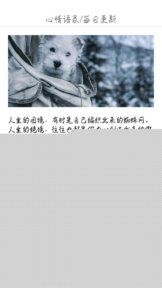 壁纸大全