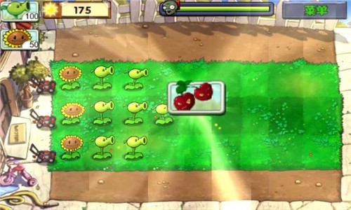 pvz最新版
