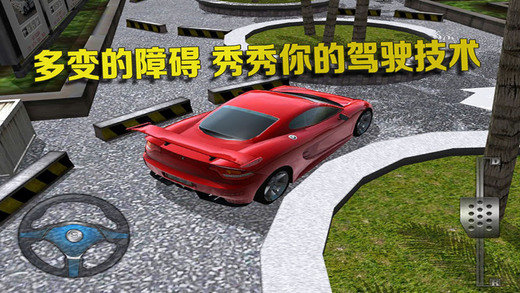 停车大师3D