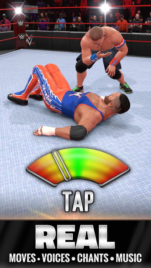 WWE宇宙