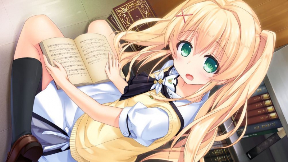夏日口袋中文版