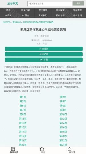 256中文小说阅读