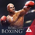 真实拳击中文版(Real Boxing)