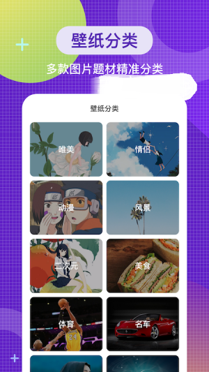 全局主题壁纸APP