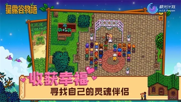 星露谷物语美化版日系风
