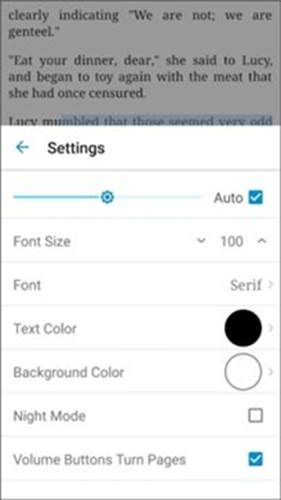 Ebook Reader