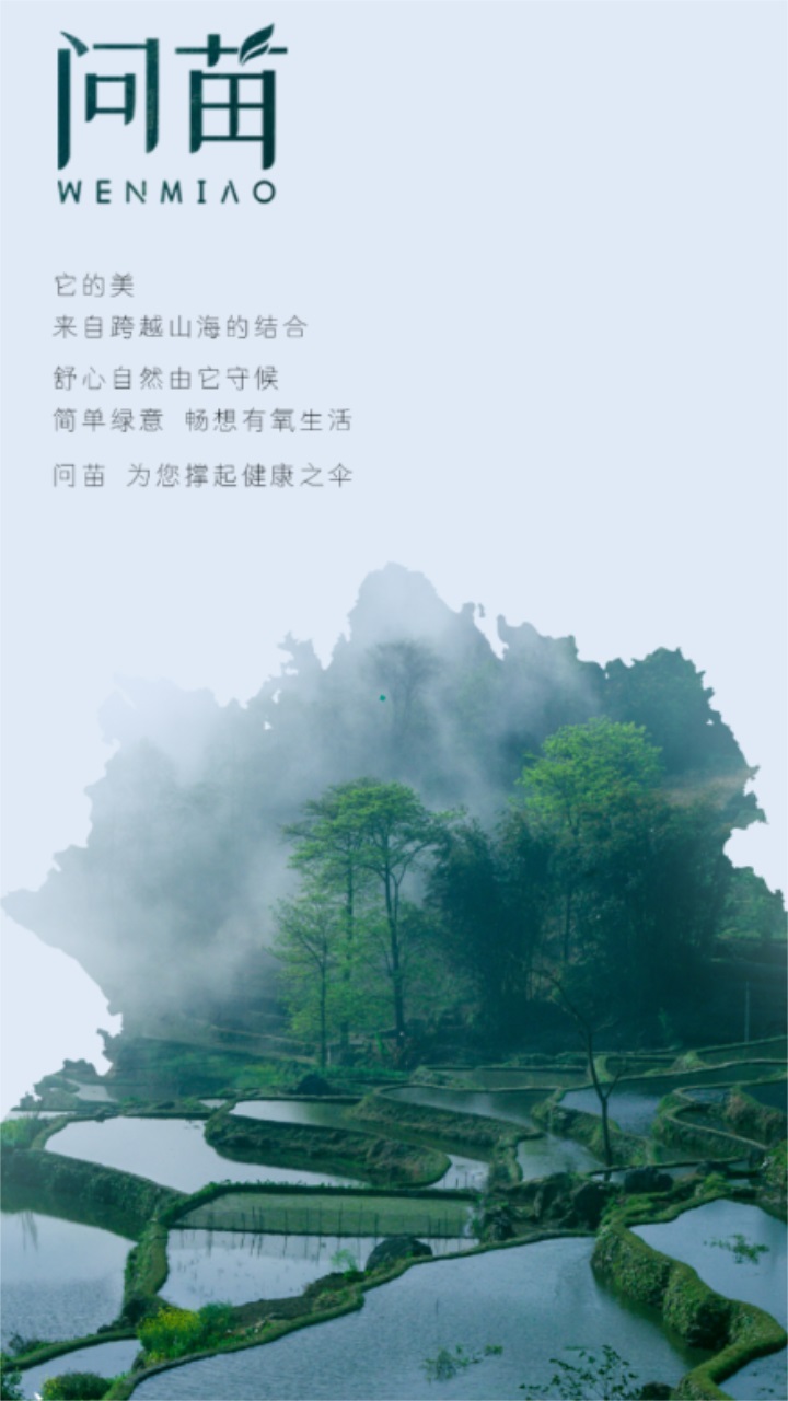 问苗最新版本