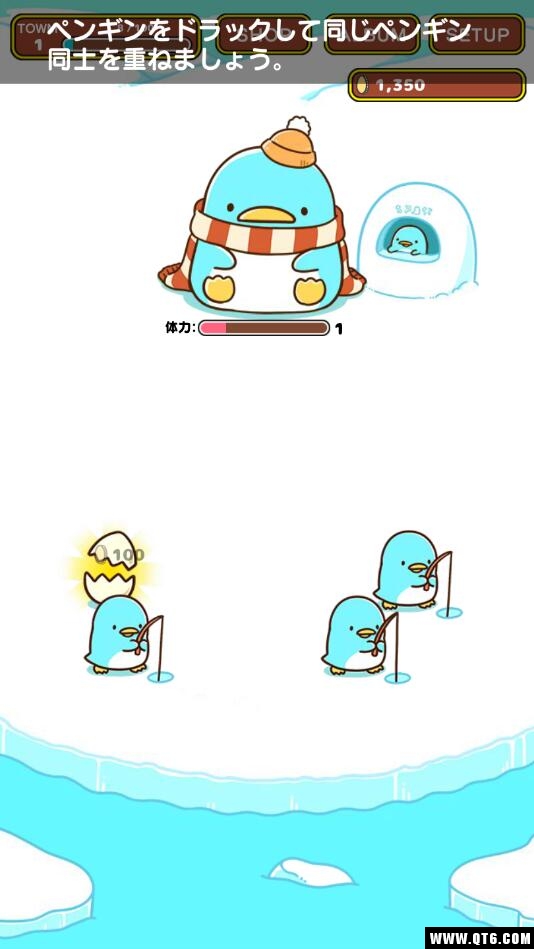企鹅小镇