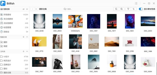 Billfish免费素材管理工具 v2.22.0.4免费版