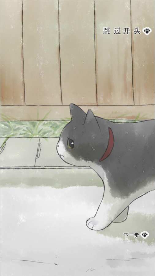 迷途猫 1.1官方版