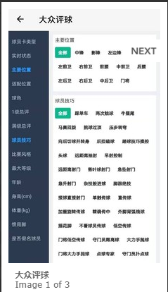 大众评球 ios版