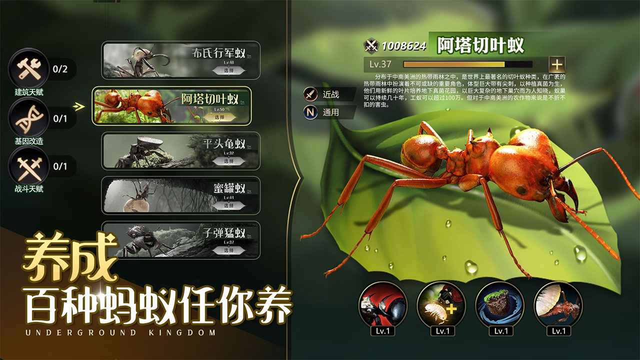 小小蚁国蚁族时代手游