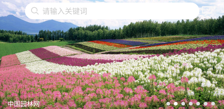 1623999228478520.png image.png