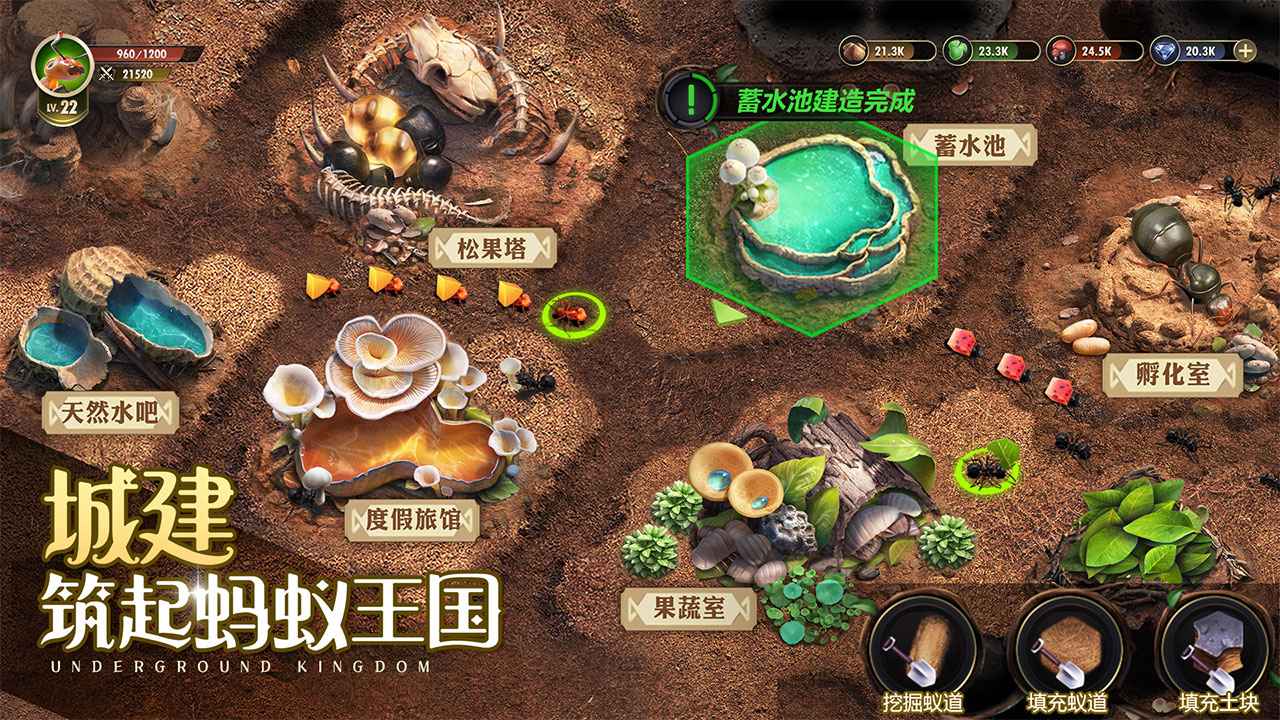 小小蚁国蚁族时代手游 1.31.2安卓版