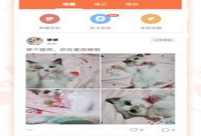 领喵