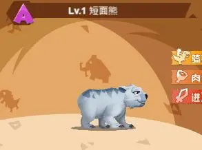 宠物搭配攻略配图2