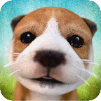 DogSimulator（模拟狗狗） 2.2.3手机版