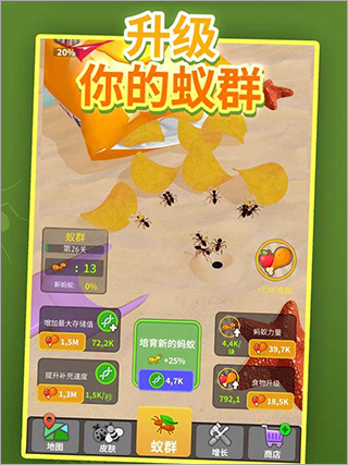 小小蚁群