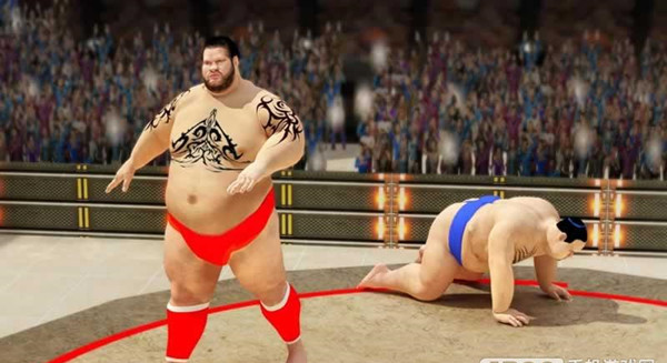 Summo wrestling（相扑格斗） 1.2