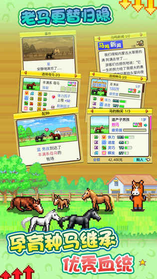 赛马牧场物语 1.0.0官方版