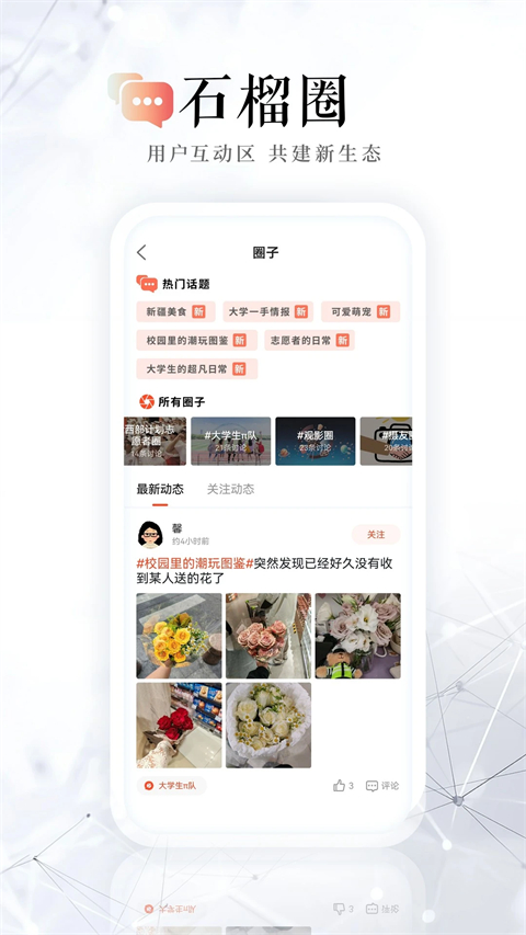 石榴云 石榴云