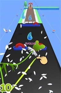植物进化跑