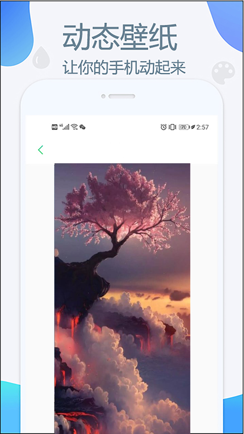 最美壁纸 ios版