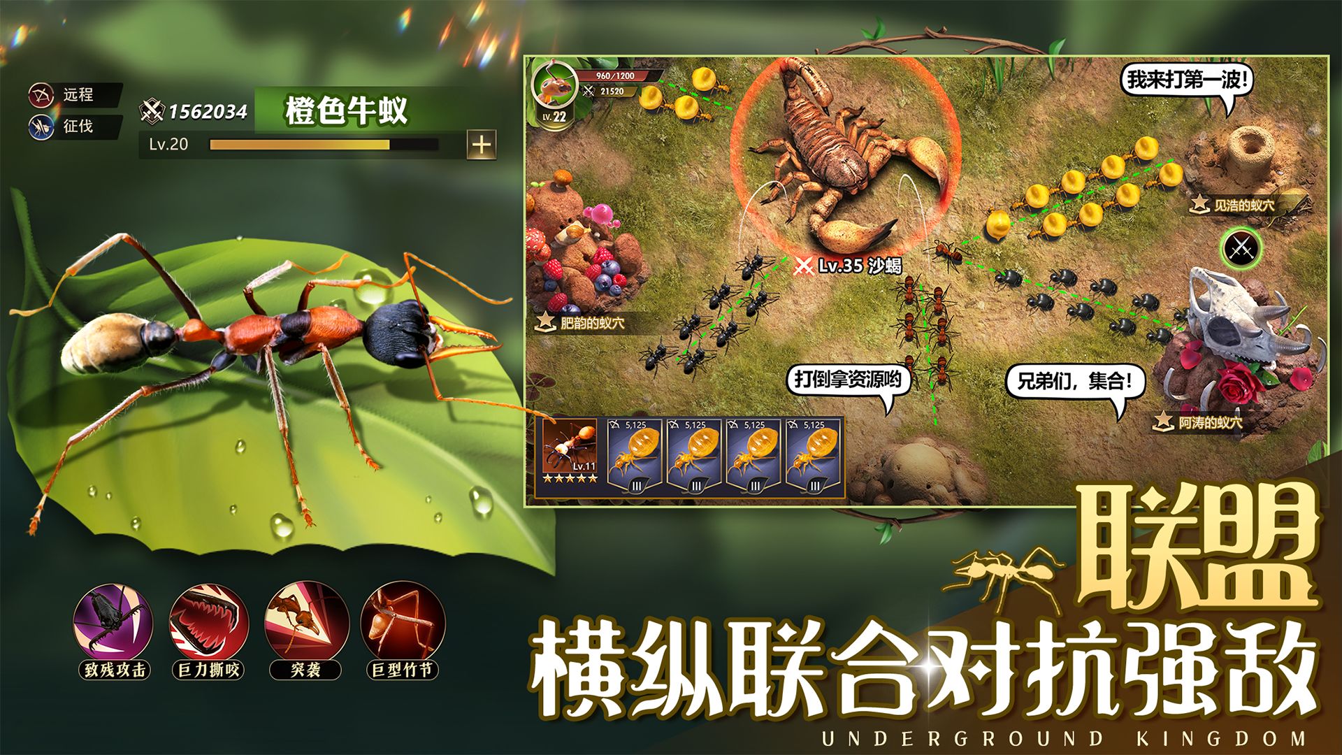 小小蚁国小小蚁世界 1.31.3安卓版