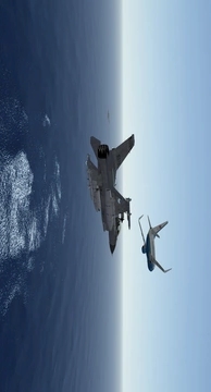 Infinite Flight最新版