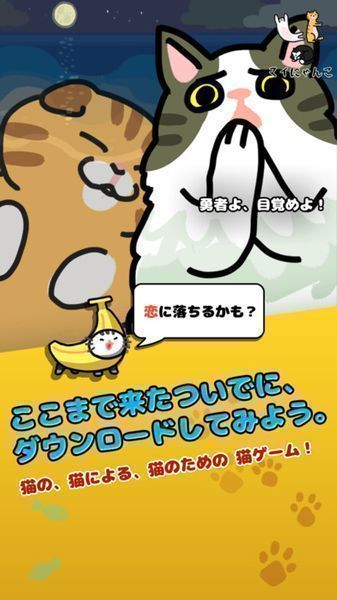 我的小猫一直在一起 2.02官方版