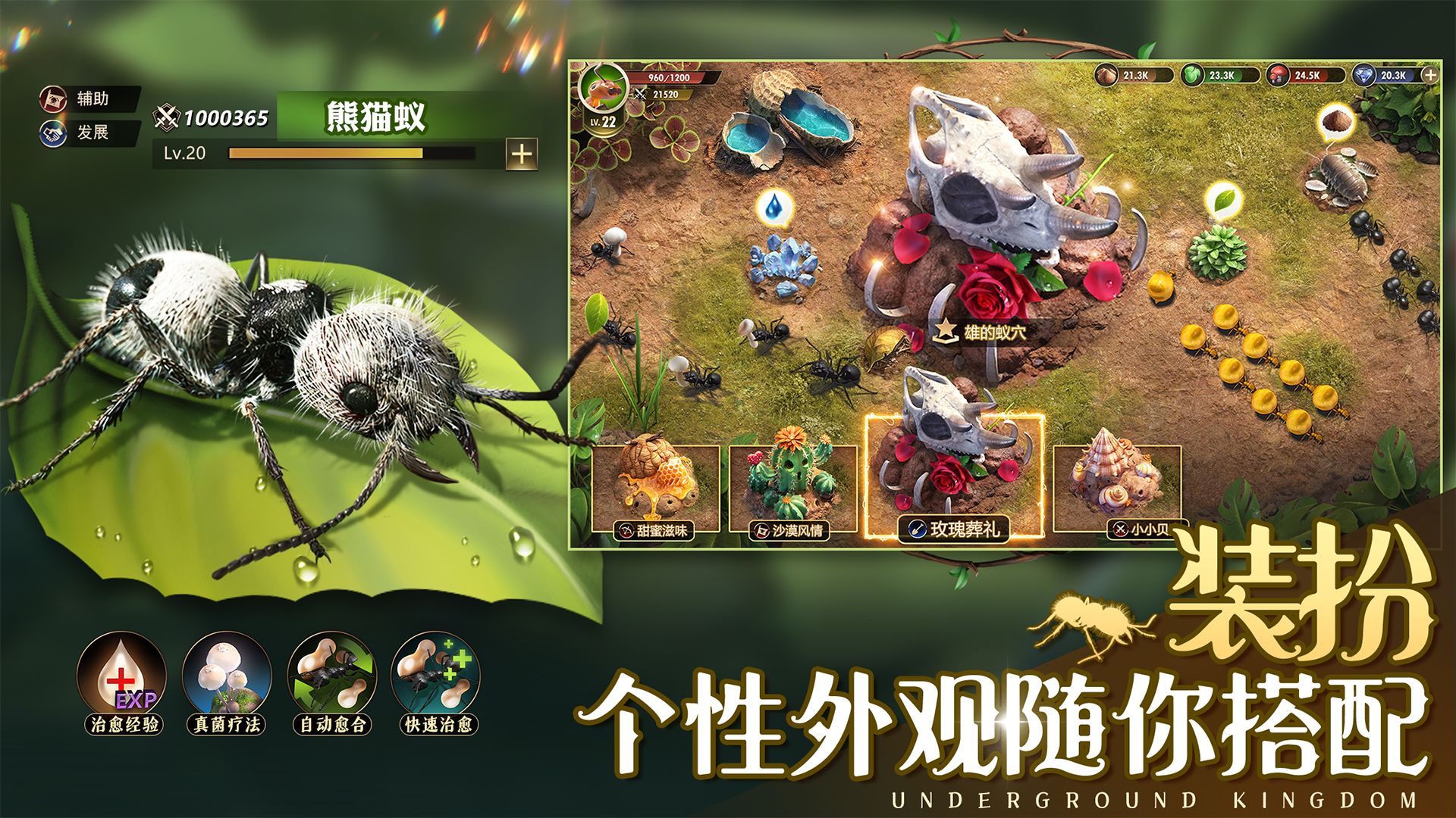 小小蚁国小小蚁世界 1.31.3安卓版