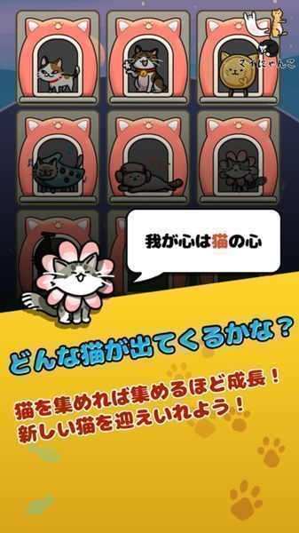 我的小猫一直在一起 2.02官方版