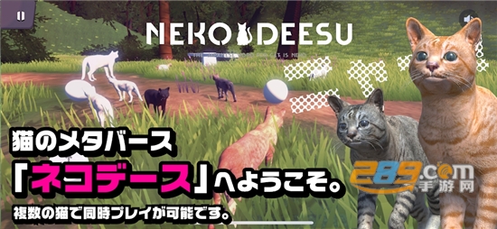 猫的春天(ネコデース)官方版下载2022最新版本