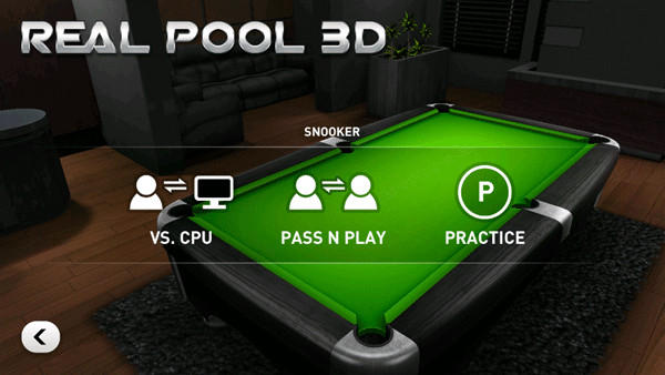 Real Pool 3D安装器