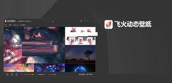 飞火动态壁纸 v2.2.1.0免费电脑版