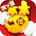 梦幻悟空手游APP