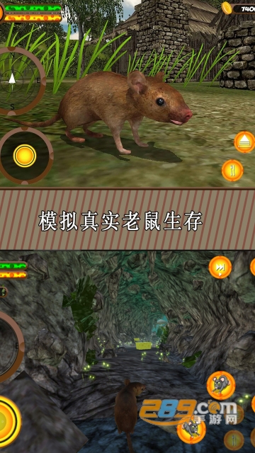 真实老鼠生存模拟器手机版下载最新版v1.2安卓版