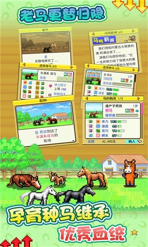 顶级跑马牧场999修改版