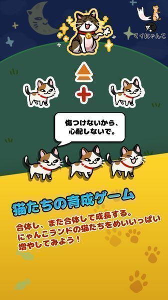 我的小猫一直在一起 2.02官方版