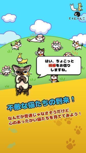 我的小猫一直在一起 2.02官方版