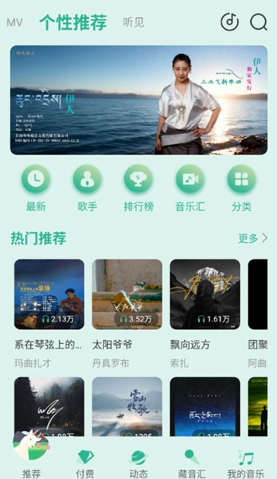 咚咚藏音