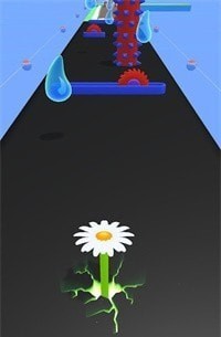 植物进化跑