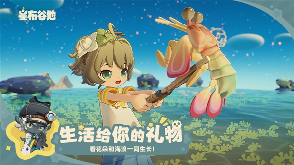 星布谷地