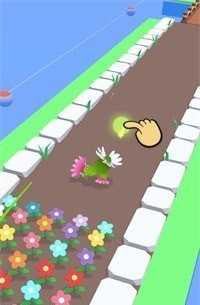 植物进化跑