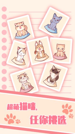 猫咪养成最新版