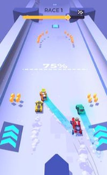 Fury Race