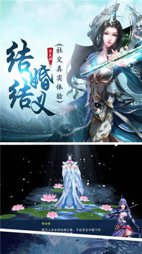 赤霞仙林