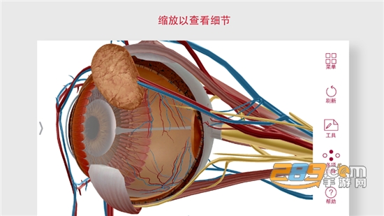 解剖和生理学app安卓破解版v6.2破解版